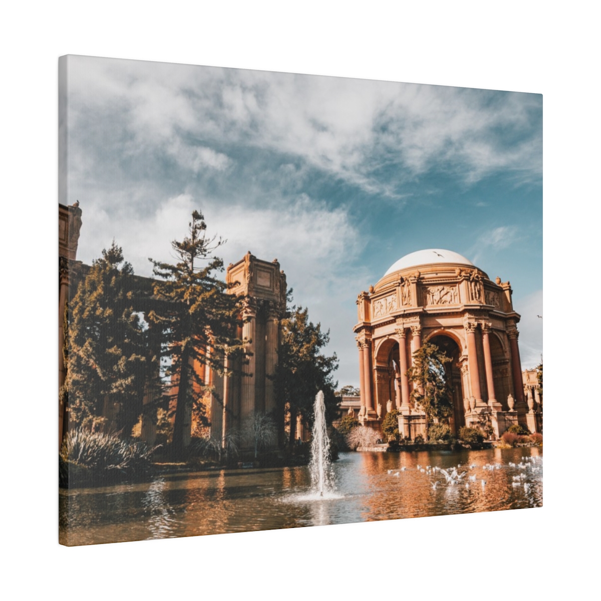 Palace of Fine Arts San Francisco California image 2 - Image 10