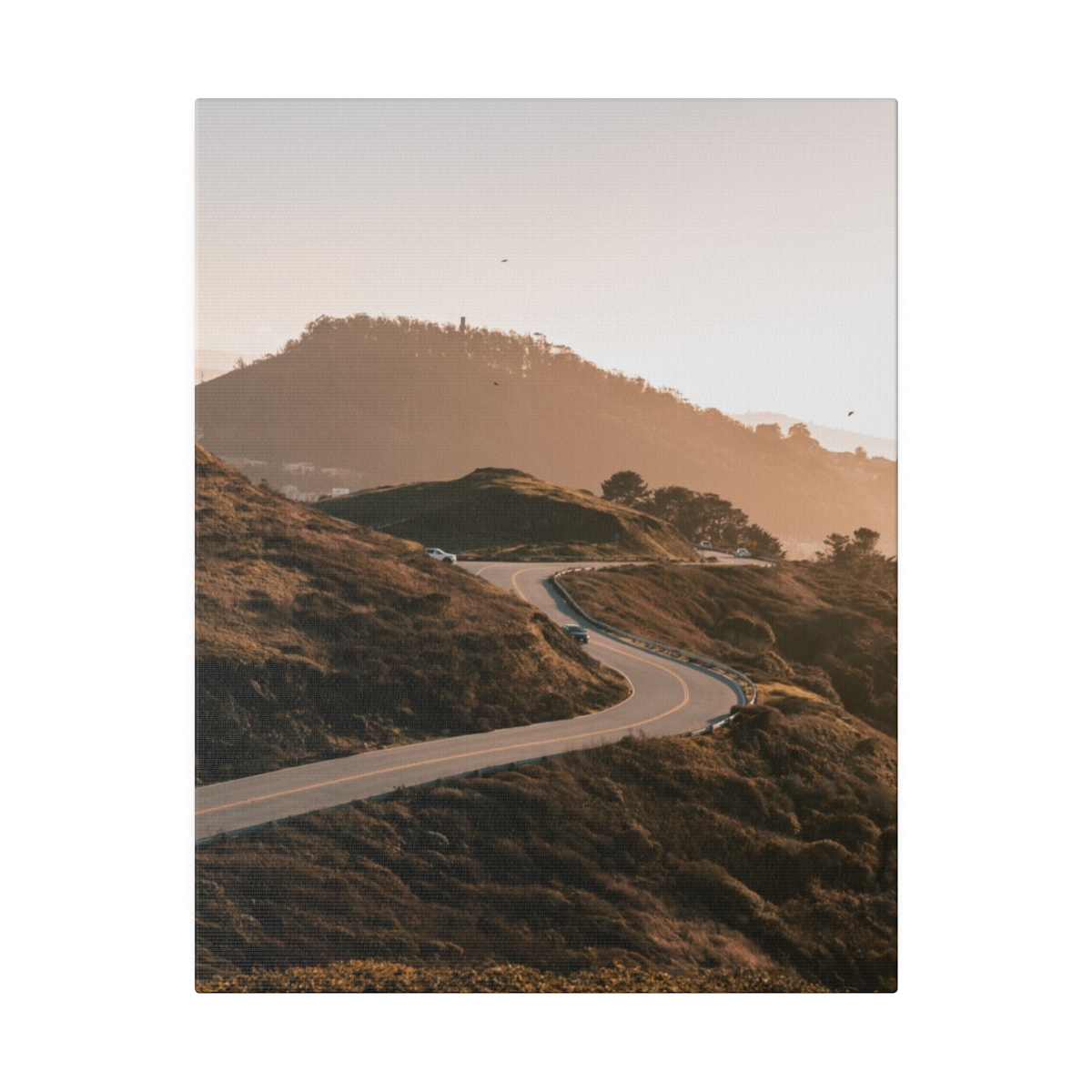 Twin Peak Road Descending in San Francisco California - Image 5
