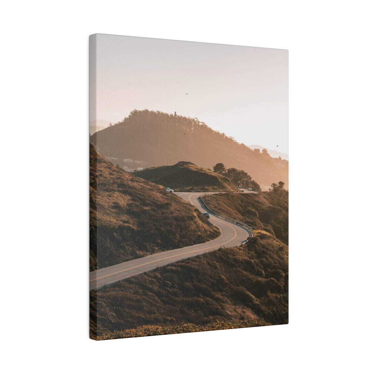 Twin Peak Road Descending in San Francisco California - Image 6