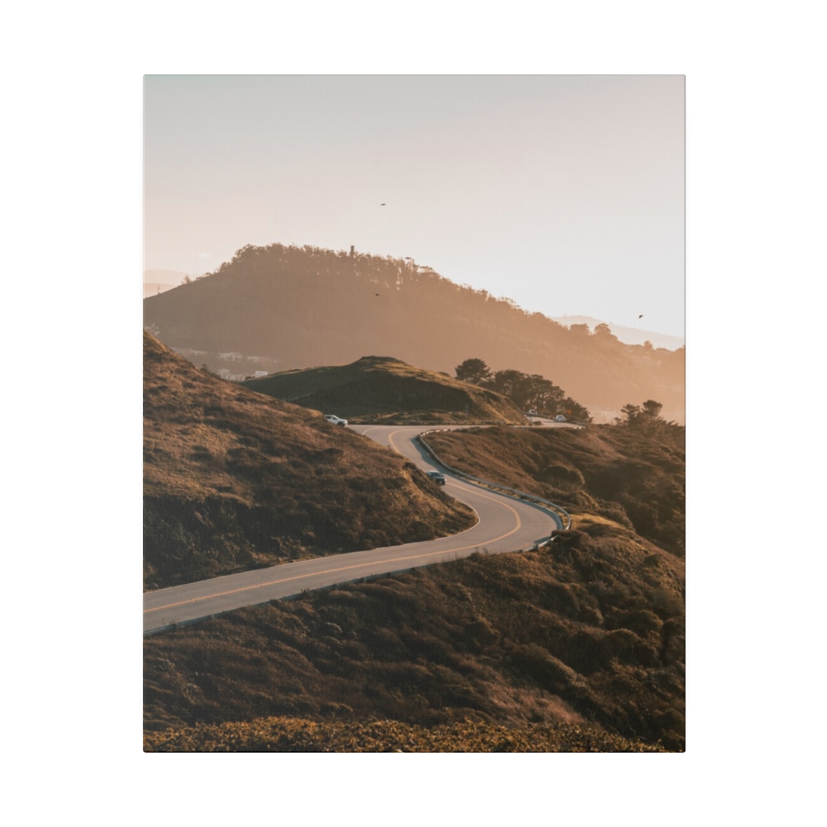 Twin Peak Road Descending in San Francisco California - Image 9