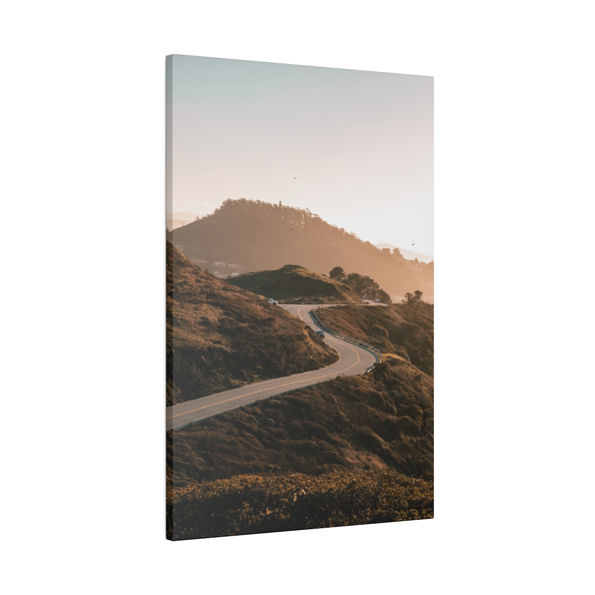 Twin Peak Road Descending in San Francisco California