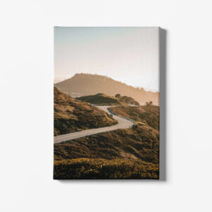 Twin Peak Road Descending in San Francisco California