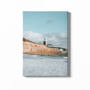 Santa Cruz California Bay with surfing museum image 5